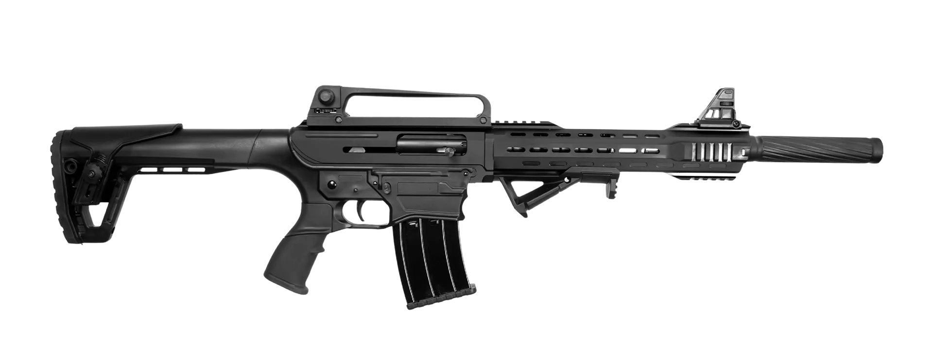 AR Shotgun rifle